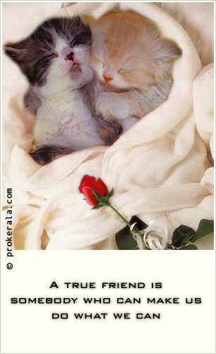 The image “http://www.greetings.prokerala.com/graphics/glitters/friendship-glitter/kittens.jpg” cannot be displayed, because it contains errors.